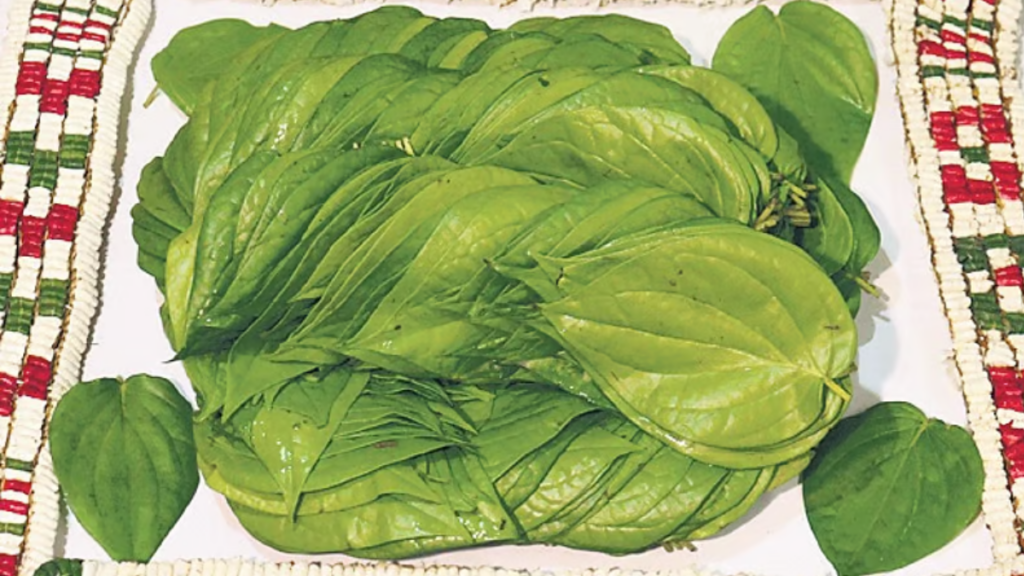 Kumbakonam Betel Leaf and Thovalai Flower Garland Receive GI Tag untitled design 2025 04 02t123126.014