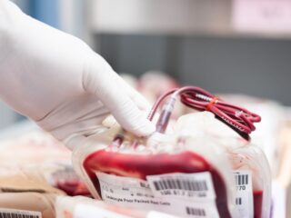 shutterstock 1189719976 1x